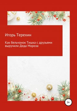 Книга "Как бельчонок Тишка с друзьями выручили Деда Мороза" – Игорь Терехин, 2020