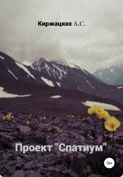 Книга "Проект «Спатиум»" – Александр Киржацких, 2020