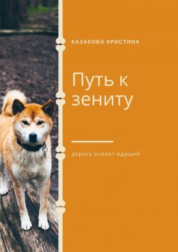 Книга "Путь к зениту" – Кристина Казакова