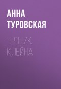 Книга "Тропик Клейна" (Анна Туровская, 2020)