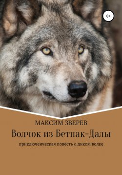 Книга "Волчок из Бетпак-Далы" – Максим Зверев, 1975