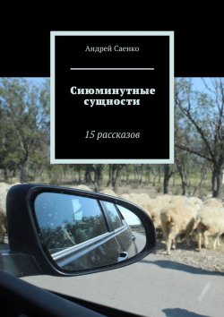 Книга "Сиюминутные сущности. 15 рассказов" – Андрей Саенко