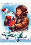 Дед Мороз из морозилки (Сергей Александров)