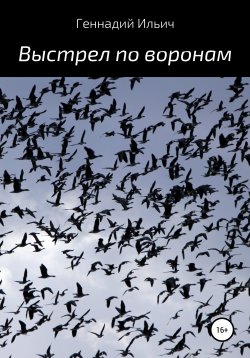 Книга "Выстрел по воронам" – Геннадий Ильич, 2017