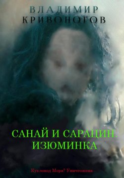 Книга "Санай и Сарацин. Изюминка" – Владимир Кривоногов, 2021