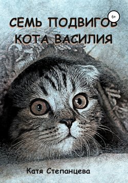 Книга "Семь подвигов кота Василия" – Катя Степанцева, 2020