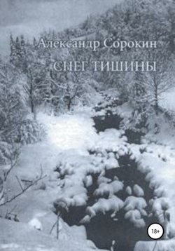 Книга "Снег тишины" – Александр Сорокин, 2009