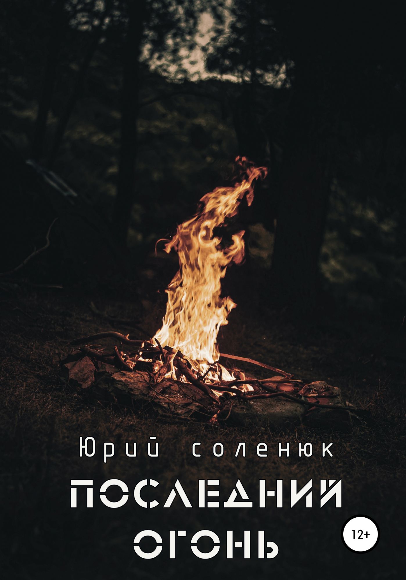 Список книг книга пламени. Последний огонь. Соленюк Юрий Витальевич. Финальные огни. Сын дьявола. Книга первая Юрий Витальевич Соленюк книга.