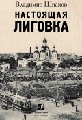 Настоящая Лиговка / Авторский путеводитель (Владимир Шпаков, 2020)