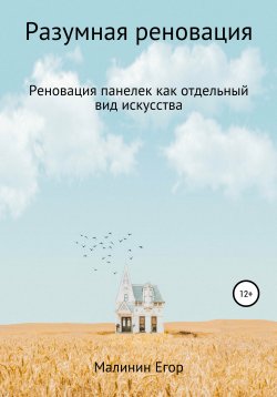 Книга "Разумная реновация" – Егор Малинин, 2021