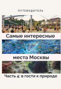 Самые интересные места Москвы. Часть 4: в гости к природе (Анатолий Верчинский)
