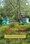 Немного о пчёлах в подсказку пчеловодам (Юлия Суворова, 2021)