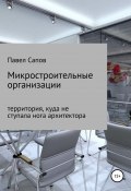 Микростроительные организации (Павел Сапов, 2017)