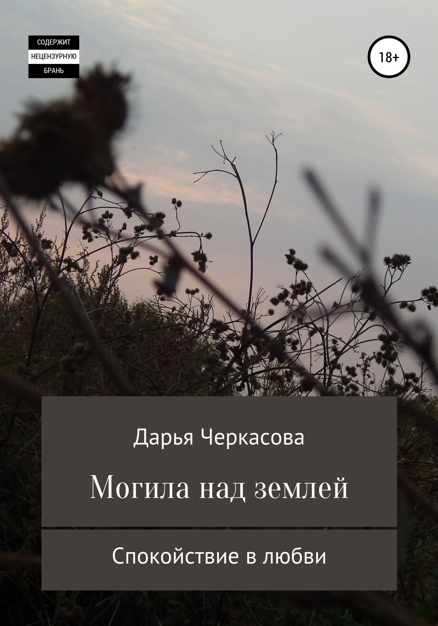 Над осевшими могилами книга. Станцуй на моей могиле Крига. Цитаты Черкасова писателя.