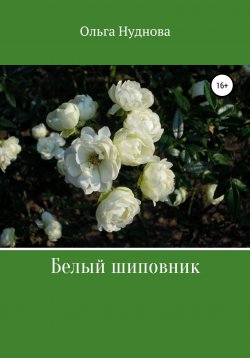 Книга "Белый шиповник" – Ольга Нуднова, 2020