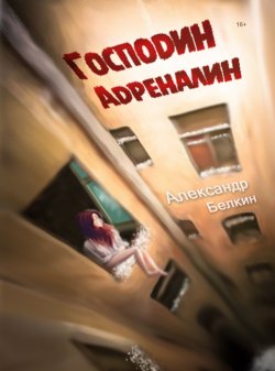Книга "Господин Адреналин" – Александр Белкин, 2017