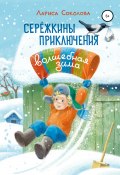 Книга "Сережкины приключения. Волшебная зима" (Лариса Соколова, 2021)