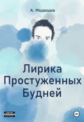 Лирика Простуженных Будней (Александр Медведев, 2021)