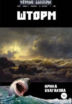 Книга "Шторм" – Ирина Булгакова, 2017