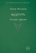 Книга "Мудрость: славянские практики" (Евгений Тамчишин, 2021)