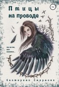 Птицы на проводе (Екатерина Смирнова, 2021)