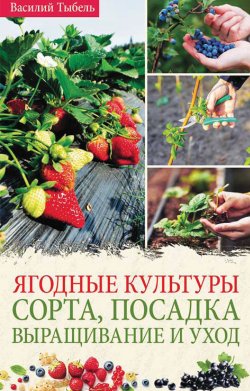 Книга "Ягодные культуры. Сорта, посадка, выращивание и уход" – Василий Тыбель, 2021