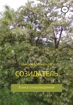 Книга "Созидатель" – Николай Игнатков, 2021