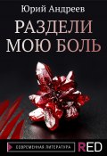 Книга "Раздели мою боль" (Юрий Андреев, 2021)