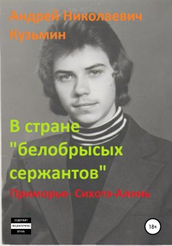Книга "В стране «белобрысых сержантов»" – Андрей Кузьмин, 2012