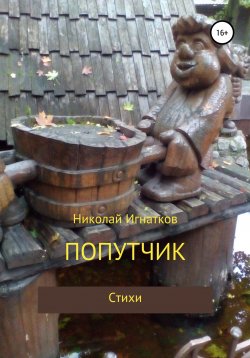 Книга "Попутчик" – Николай Игнатков, 2021