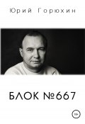 Блок №667 (Юрий Горюхин, 2011)