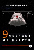 9 месяцев до смерти (Анастасия Мельникова, Мельникова Ксения, 2019)