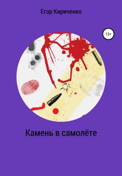Книга "Камень в самолёте" – Егор Кириченко, 2021