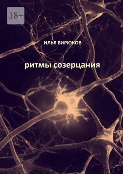 Книга "Ритмы созерцания" – Илья Бирюков
