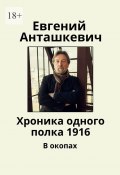 Хроника одного полка 1916. В окопах (Евгений Анташкевич)