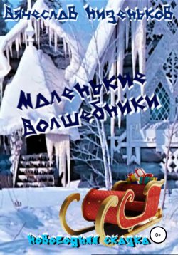 Книга "Маленькие волшебники" – Вячеслав Низеньков, 2021