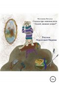 Сказка про минимализм «Долой лишние вещи!» (Наталья Молчанова, 2021)