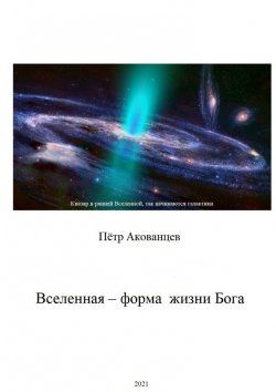 Книга "Вселенная – форма жизни Бога. Теория Всего" – Пётр Акованцев