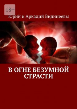 Книга "В огне безумной страсти" – Юрий и Аркадий Видинеевы