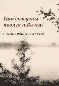 Как созвучны иволга и Волга! / Поэзия. Рыбинск. XXI век (Сборник, 2020)