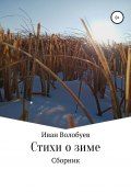 Стихи о зиме (Иван Волобуев, 2022)