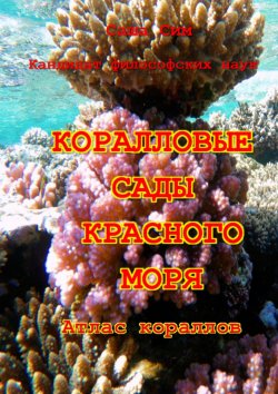 Книга "Коралловые сады Красного моря. Атлас кораллов" – Саша Сим