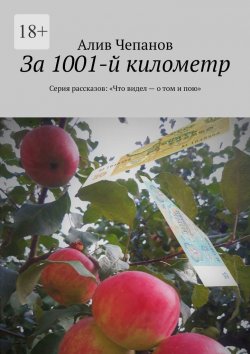 Книга "За 1001-й километр. Серия рассказов: «Что видел – о том и пою»" – Алив Чепанов