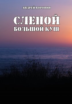 Книга "Слепой. Большой куш" {Слепой} – Андрей Воронин, 2005