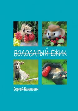 Книга "Волосатый ёжик" – Сергей Казакевич