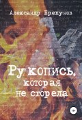 Рукопись, которая не сгорела (Александр Брехунов, 1997)