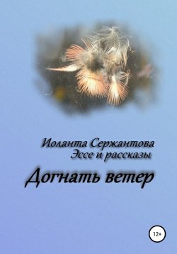 Книга "Догнать ветер" – Иоланта Сержантова, 2022