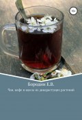 Чаи, кофе и квасы из дикорастущих растений (Евгений Бородин, 2022)