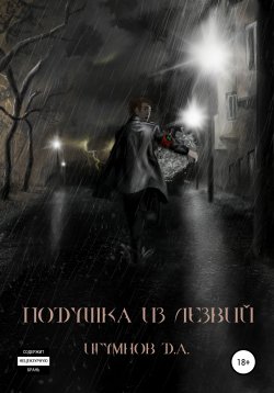 Книга "Подушка из лезвий" – Денис Игумнов, 2016