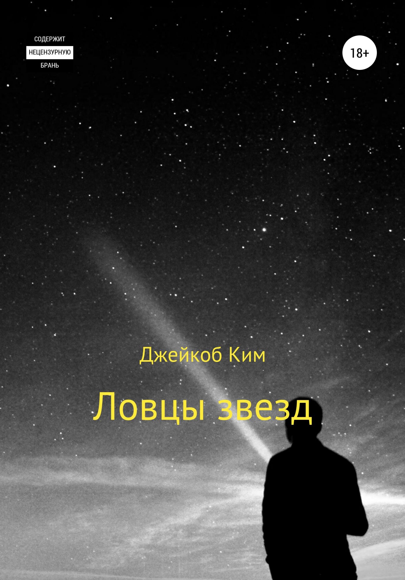 Собирательница звезд книга. Ловец звезд книжка. Ловцы звезд Истоки смотреть через Павао шо.